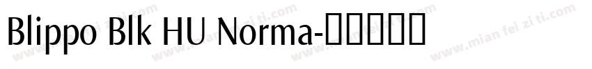 Blippo Blk HU Norma字体转换